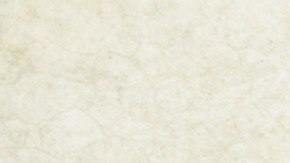 ¡Mascota sana, dueño feliz! Realizan ensayo clínico con implante para hacer bajar de peso a gatos