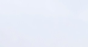 Harina de insectos será considerada un alimento completo en un futuro cercano por su alto valor nutricional