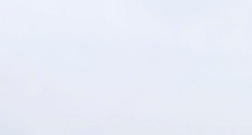 Harina de insectos será considerada un alimento completo en un futuro cercano por su alto valor nutricional