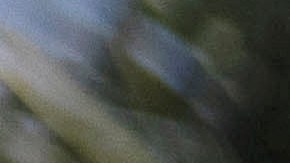 Ryan Williams, a brother-in-law of Anthony Lowe, holds a sign outside the city hall in Huntington Park, Calif., Monday, Feb. 6, 2023. Lowe, a double-amputee in a wheelchair, was fatally shot by police in January after a victim reported being stabbed by him. When the officers approached the suspect, he pulled out a foot-long (30 cm) knife and tried to throw it at them, according to a statement by Los Angeles County Sheriff's Department. (AP Photo/Jae C. Hong)