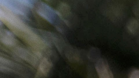 Ryan Williams, a brother-in-law of Anthony Lowe, holds a sign outside the city hall in Huntington Park, Calif., Monday, Feb. 6, 2023. Lowe, a double-amputee in a wheelchair, was fatally shot by police in January after a victim reported being stabbed by him. When the officers approached the suspect, he pulled out a foot-long (30 cm) knife and tried to throw it at them, according to a statement by Los Angeles County Sheriff's Department. (AP Photo/Jae C. Hong)