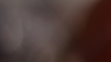 Ya el dilema no es si primero fue el huevo o la gallina, ahora es: ¿conservar los huevos en la nevera o fuera?