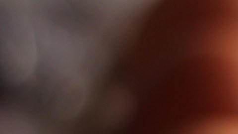 Ya el dilema no es si primero fue el huevo o la gallina, ahora es: ¿conservar los huevos en la nevera o fuera?