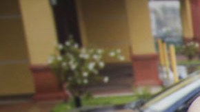 ICE realiza operativos contra cualquier indocumentado e incluso ha detenido a estadounidenses.