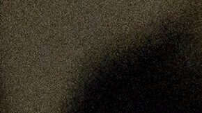 Tras ser arrestada por ICE en plena entrevista, la joven pasó varios días en el centro de detención de Otay Mesa.