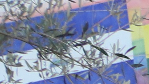 Un feligrés ora ante la imagen de la Virgen de Guadalupe en la Placita Olvera.