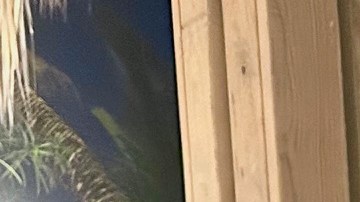 Oscar García Osuna, autor del libro ¿Te hace sentido?, una pausa frente a un mundo que corre de prisa.