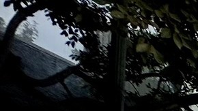 Marchan en Los Ángeles por el Día Internacional del Inmigrante.