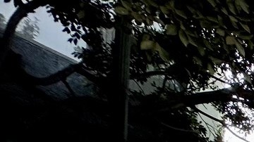 Marchan en Los Ángeles por el Día Internacional del Inmigrante.