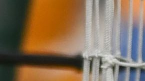 Lizbeth Ovalle celebra un gol de Tigres.