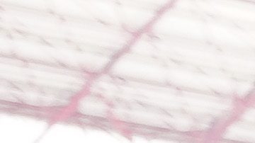 José Saturnino Cardozo durante una visita al estadio de Toluca en el 2022.