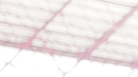 José Saturnino Cardozo durante una visita al estadio de Toluca en el 2022.