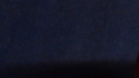 Pérez defendió el arco de México durante más de 50 partidos.