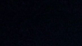 Pachuca, Hidalgo, 15 de abril de 2025. , durante el partido correspondiente a la jornada 16 del torneo Clausura 2025 de la Liga BBVA MX, entre los Tuzos del Pachuca y los Tigres de la UANL, realizado en el estadio Hidalgo. Foto: Imago7/ Elizabeth Hernández