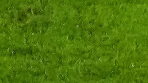 Torreón, Coahuila, 15 de noviembre de 2025. , durante un partido amistoso del MEXTOUR 2025, entre la Selección Nacional de México y la Selección de Uruguay, realizado en el estadio Corona. Foto: Imago7/ Erick Saavedra