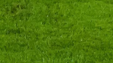 Torreón, Coahuila, 15 de noviembre de 2025. , durante un partido amistoso del MEXTOUR 2025, entre la Selección Nacional de México y la Selección de Uruguay, realizado en el estadio Corona. Foto: Imago7/ Erick Saavedra