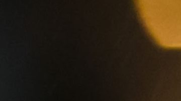 André Jardine ha conquistado 6 trofeos con el América.