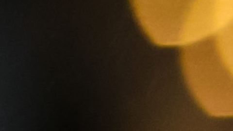 André Jardine ha conquistado 6 trofeos con el América.