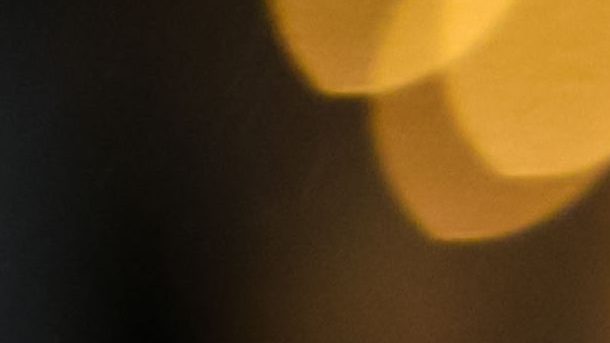 André Jardine ha conquistado 6 trofeos con el América.