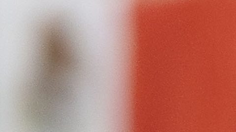 Gilberto Mora jugó en la última doble fecha con El Tri.