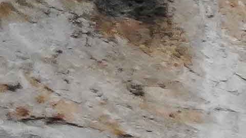 Ciudad de México, 30 de noviembre de 2025. , durante el partido correspondiente a la vuelta de los Cuartos de Final del torneo Apertura 2025 de la Liga BBVA MX, entre la Máquina Celeste del Cruz Azul y las Chivas Rayadas del Guadalajara, realizado en el estadio Olímpico Universitario. Foto: Imago7/ Diego Padilla