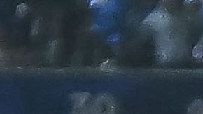 Cruz Azul viene de superar a las Chivas de Guadalajara.