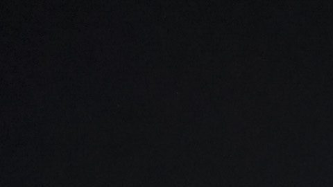 Antonio Mohamed llegó a cinco títulos en México.