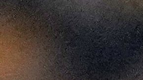 Los Tigres van por su octavo título.