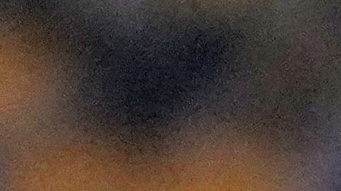 Los Tigres van por su octavo título.