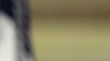 James David Vance, vicepresidente estadounidense