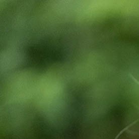 Joe Biden, expresidente estadounidense