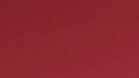 Paulina Mercado Juan Soler