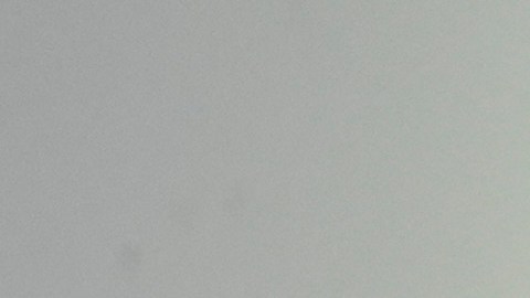 El caso sería solo uno entre los miles de brasileños que han sido arrestados en medio del endurecimiento de la política migratoria.