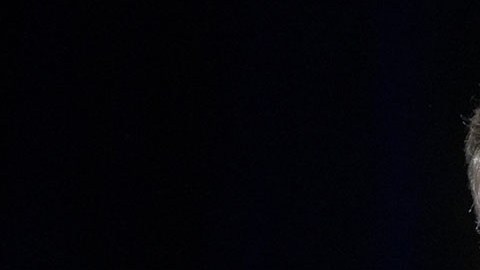 Ken Martin, presidente del Comité Nacional Demócrata