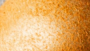 Exótico y protector: el kiwi aumenta la vitamina C en la piel