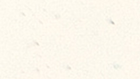 Las carreras mejor pagadas en el futuro