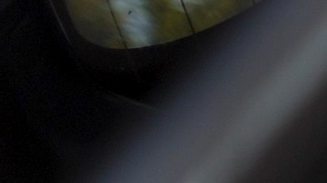 Latinos en EE.UU. planean un aumento en gastos para las festividades de fin de año