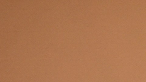 Leonardo DiCaprio afirma que la IA nunca podrá ser arte porque carece de humanidad