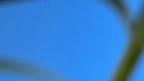 Liam Neeson antivacunas