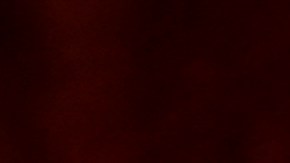 FILE - Shown is a Philadelphia police car with flashing lights in Philadelphia, Monday, Jan. 17, 2022. The Philadelphia Lodge of the Fraternal Order of Police has filed a lawsuit Wednesday, Feb. 23, 2022 seeking to stop a city law banning officers from pulling over drivers for low-level offenses from going into effect saying the law illegally pre-empts existing state laws on traffic violations. (AP Photo/Matt Rourke, File)