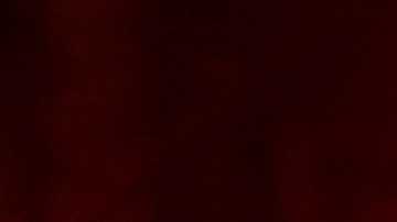 FILE - Shown is a Philadelphia police car with flashing lights in Philadelphia, Monday, Jan. 17, 2022. The Philadelphia Lodge of the Fraternal Order of Police has filed a lawsuit Wednesday, Feb. 23, 2022 seeking to stop a city law banning officers from pulling over drivers for low-level offenses from going into effect saying the law illegally pre-empts existing state laws on traffic violations. (AP Photo/Matt Rourke, File)