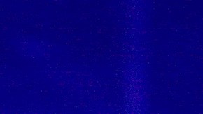 Lupita Ernesto D'Alessio