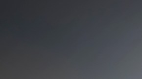 ¿Una “mosca volante” anda rondando tus ojos? Cuáles pueden ser las causas