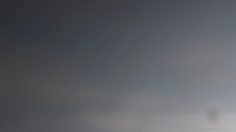 ¿Una “mosca volante” anda rondando tus ojos? Cuáles pueden ser las causas