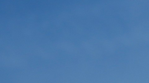 Marjorie Taylor Greene vuelve a criticar a Trump y acusa que sus políticas no ayudan a EE.UU.