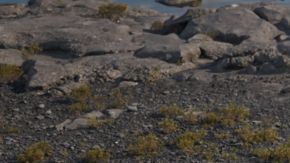 Más del Tesla Cybertruck