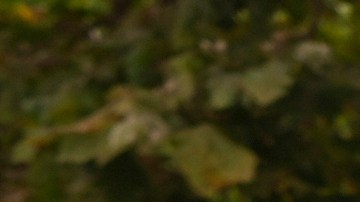 Dr. Salvador Plasencia leaves federal court with his attorneys on Wednesday, July 23, 2025 in Los Angeles, after pleading guilty to giving ketamine to Matthew Perry, leading up to the actor's 2023 overdose death. (AP Photo/Damian Dovarganes)