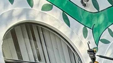 Michael Dergar, creador de la Fundación de la Academia de Sueños Especiales, lleva felicidad a muchas personas con necesidades especiales en su tierra de origen Mazatlán.