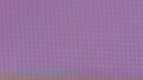 Migbelis Castellanos