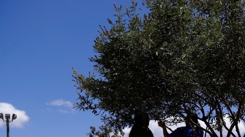 Migrantes en Centro Residencial Familiar del ICE